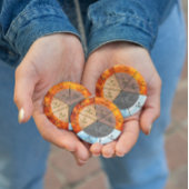 meridians acupunctie - elementen van chinese orgaa magneet