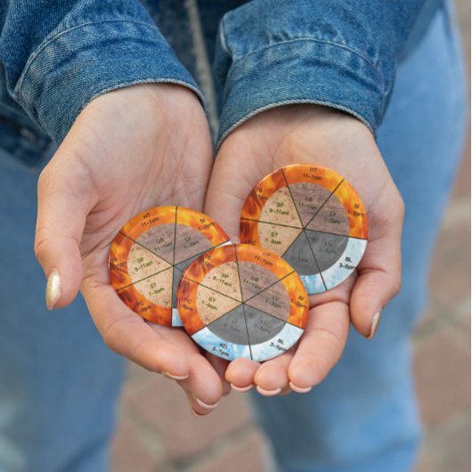 meridians acupunctie - elementen van chinese orgaa magneet