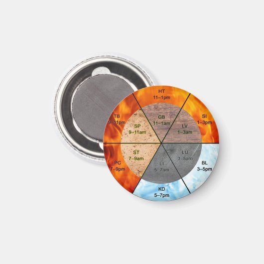 meridians acupunctie - elementen van chinese orgaa magneet (Voorkant / Achterkant)