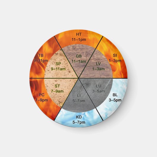 meridians acupunctie - elementen van chinese orgaa magneet (Voorkant)