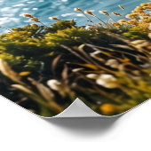 Meringue-rotsen Hawk Cliffs Poster (Hoek)