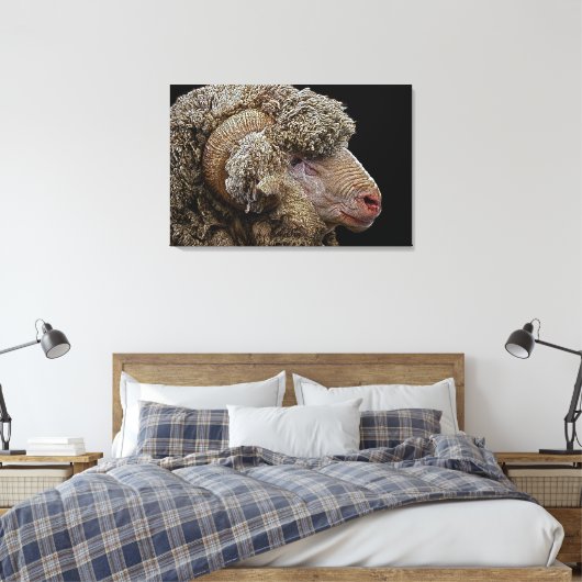 Merino-schaap Canvas Afdruk (Insitu (Slaapkamer))