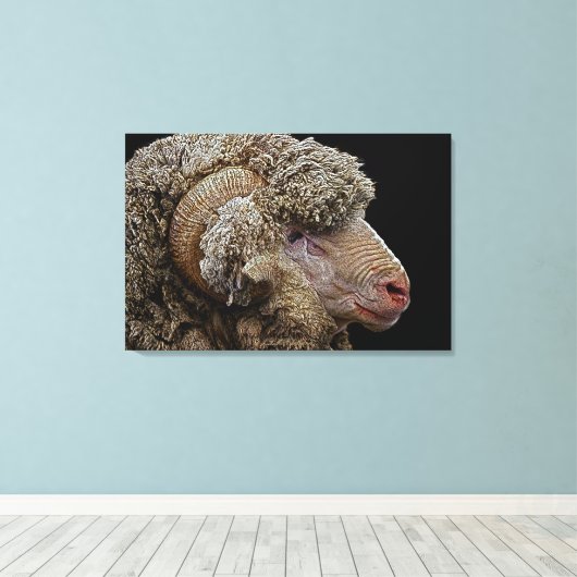 Merino-schaap Canvas Afdruk (Insitu (Houten vloer))