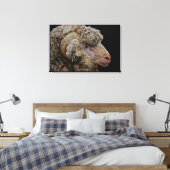 Merino-schaap Canvas Afdruk (Insitu (Slaapkamer))