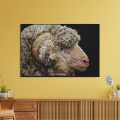 Merino-schaap Canvas Afdruk (Insitu (Woonkamer))