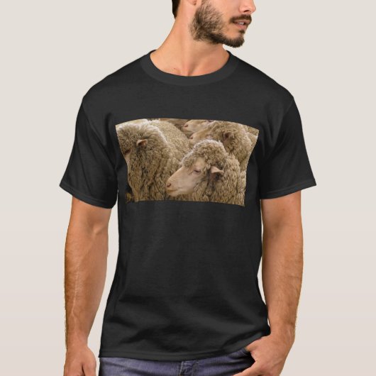 Merino-schapen T-shirt (Voorkant)