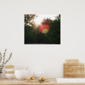 Merkabah...aan de andere zijde van de Veil Poster (Keuken)