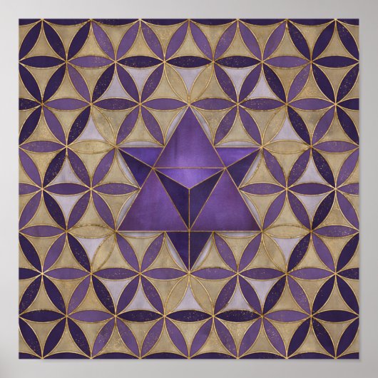 Merkabah over het levenspatroon poster (Voorkant)