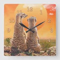 MERKATS BESTE VRIENDEN VOOR ALTIJD