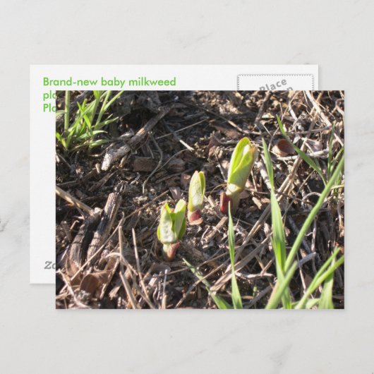 Merkrooskleurige planten aankondigingskaart (Voorkant / Achterkant)