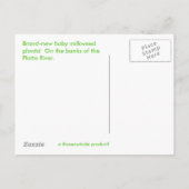 Merkrooskleurige planten aankondigingskaart (Achterkant)