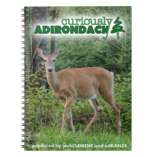 Merkwaardig Adirondack notebook (hert) Notitieboek