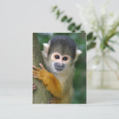 Merkwaardige eekhoornaap briefkaart (Staand voorkant)