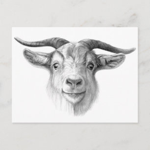 Merkwaardige geit G124 Briefkaart