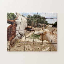 Merkwaardige geit - Puzzle Legpuzzel
