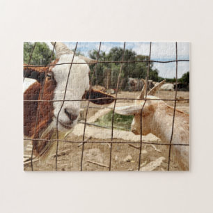 Merkwaardige geit - Puzzle Legpuzzel