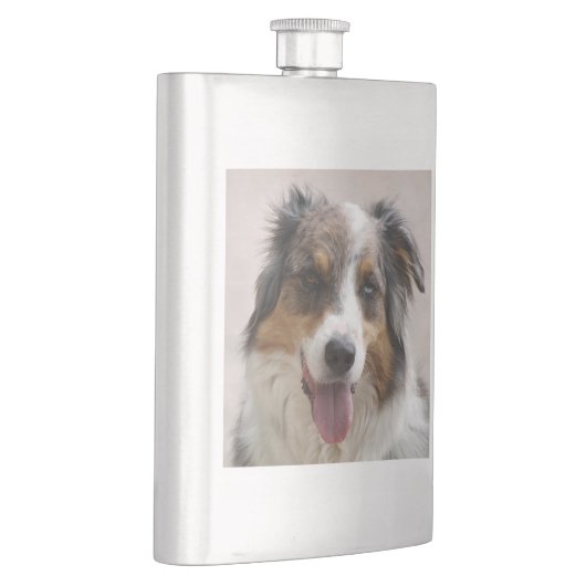 merle aussie flacon (Rechts)