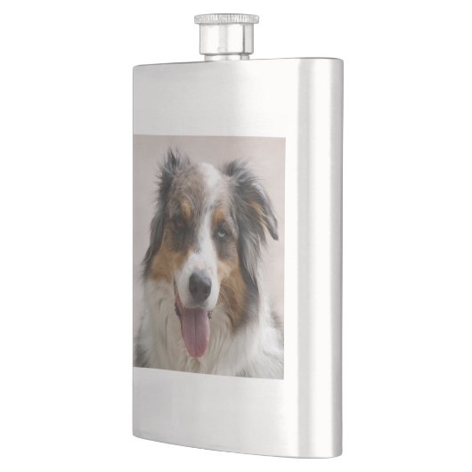 merle aussie flacon (Links)