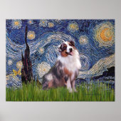 Merle Aussie Shep - Sterrennacht Poster (Voorkant)
