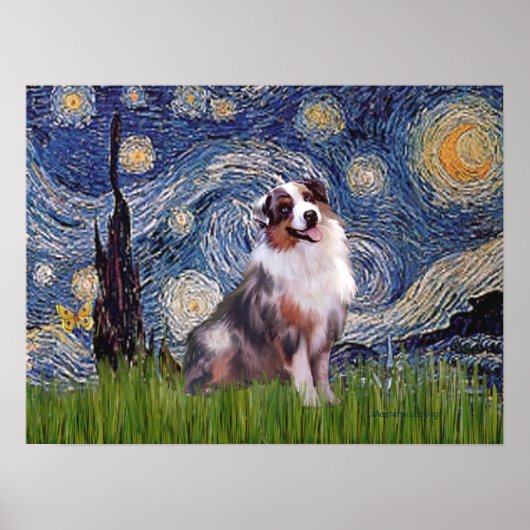 Merle Aussie Shep - Sterrennacht Poster (Voorkant)