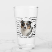 Merle Australian Shepherd Glas (Voorkant)