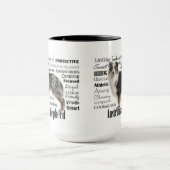 Merle Australian Shepherd Mok (Midden)