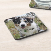 Merle Australian Shepherd Puppy Bier Onderzetter (Linkerzijde)