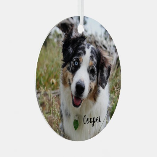 Merle Australian Shepherd Puppy Ceramic Ornament (Voorkant Rechts)