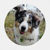 Merle Australian Shepherd Puppy Ceramic Ornament (Voorkant)