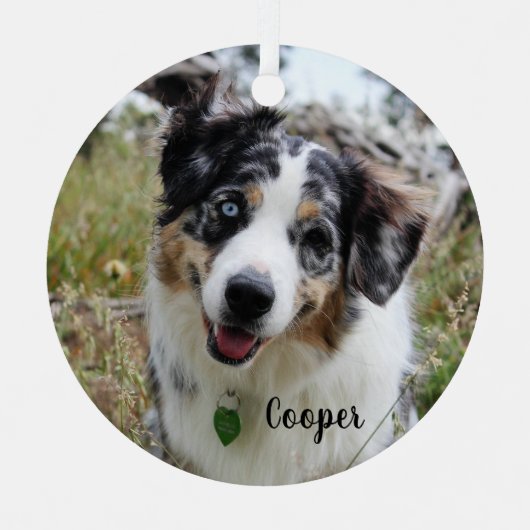 Merle Australian Shepherd Puppy Ceramic Ornament (Voorkant)