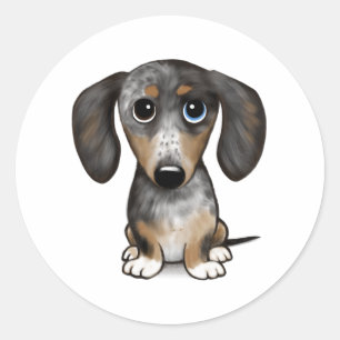 Merle Dapple Dachshund Schattige Wiener Dog Ronde Sticker