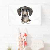 Merle Dapple Dachshund Schattige Wiener Dog Spandoek (Insitu)