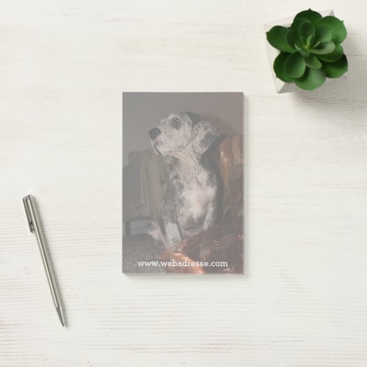 Merle Dog van Denen Post-it® Notes (Kantoor)