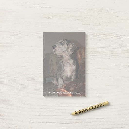 Merle Dog van Denen Post-it® Notes (Op bureau)