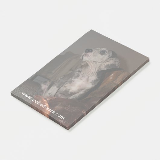 Merle Dogge Post-it® Notes (Schuin)