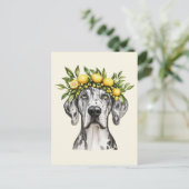 Merle Great Dane Dog Lemon Crown Briefkaart (Staand voorkant)