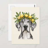 Merle Great Dane Dog Lemon Crown Briefkaart (Voorkant / Achterkant)