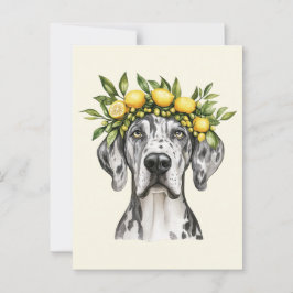 Merle Great Dane Dog Lemon Crown Briefkaart