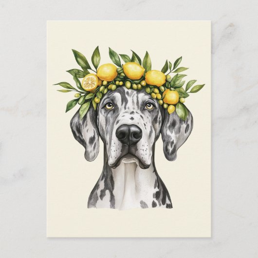 Merle Great Dane Dog Lemon Crown Briefkaart (Voorkant)
