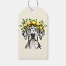 Merle Great Dane Dog Lemon Crown