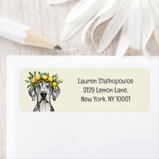 Merle Great Dane Dog Lemon Crown Etiket (Insitu)