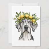 Merle Great Dane Dog Lemon Crown Kaart (Voorkant)