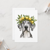 Merle Great Dane Dog Lemon Crown Kaart (Voorkant / Achterkant in situ)
