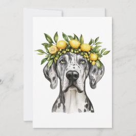 Merle Great Dane Dog Lemon Crown Kaart