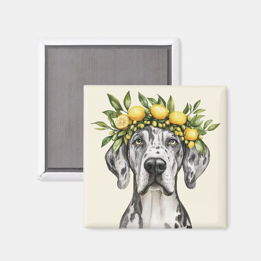 Merle Great Dane Dog Lemon Crown Magneet (Voorkant / Achterkant)