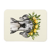Merle Great Dane Dog Lemon Crown Magneet (Horizontaal)