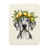 Merle Great Dane Dog Lemon Crown Magneet (Verticaal)