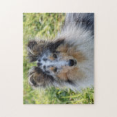 Merle Shetland Sheepdog - Sheltie Dog Legpuzzel (Verticaal)