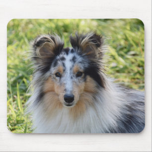 Merle Shetland Sheepdog - Sheltie Dog Muismat