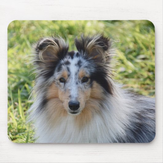 Merle Shetland Sheepdog - Sheltie Dog Muismat (Voorkant)